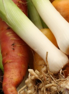 conservation-artichaut